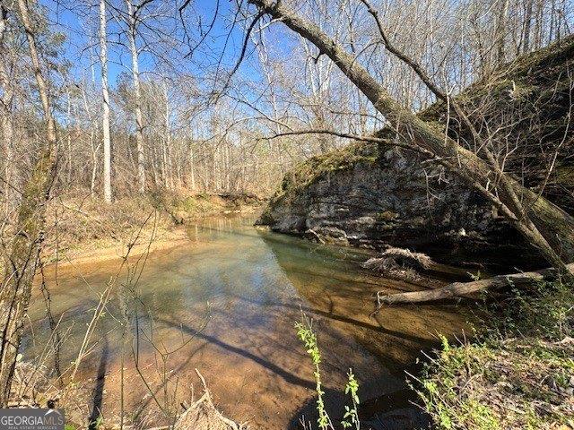 Land for sale in Franklin, Georgia