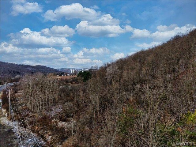 Land for sale in Ellicottville, New York