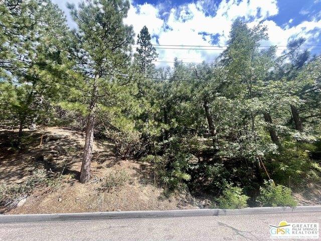 Land for sale in Angelus Oaks, San Bernardino County