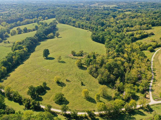 Land for sale in Oddville, Cynthiana