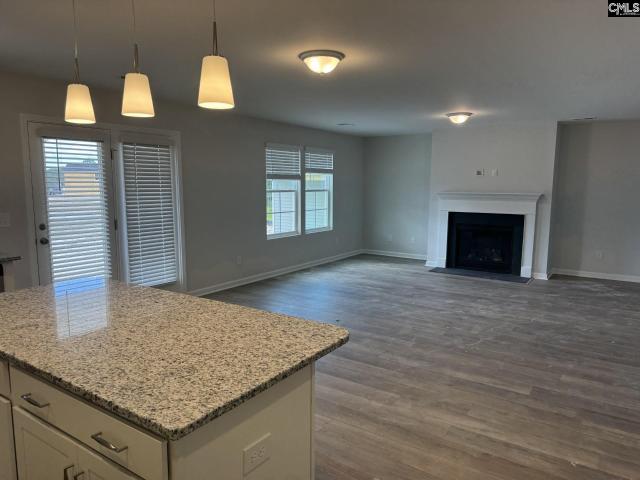 House for sale in Elgin, South Carolina