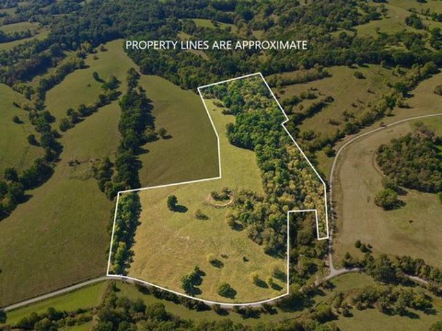 Land for sale in Cynthiana, Kentucky
