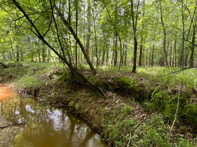 Land for sale in Amory, Mississippi