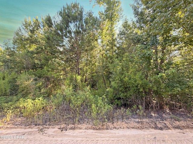 Land for sale in Blountstown, Florida