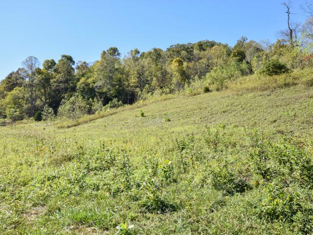 Farm for sale in Vanceburg, Kentucky