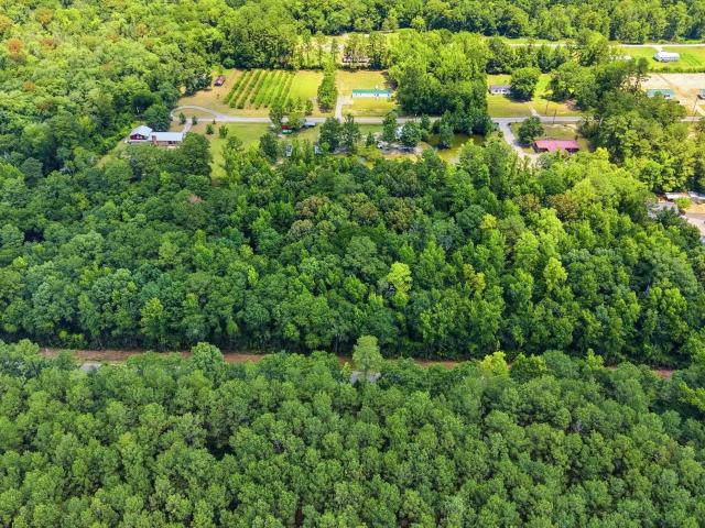 Land for sale in Galivants Ferry, Horry County