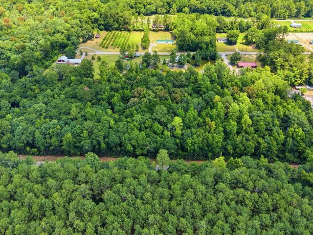 Land for sale in Galivants Ferry, South Carolina