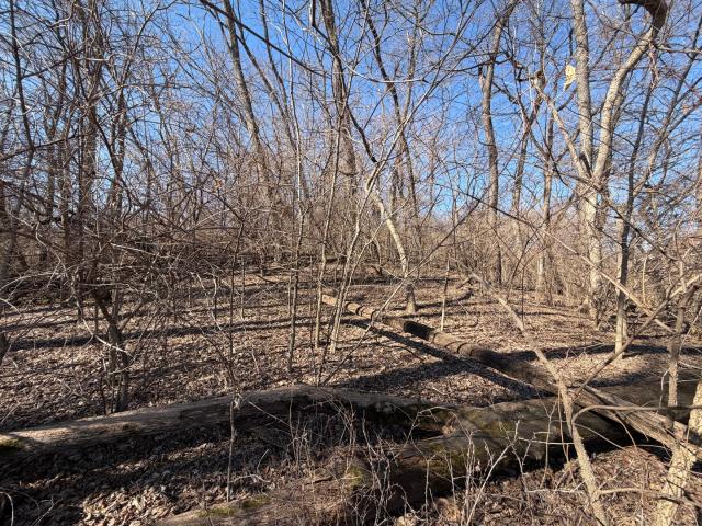 Land for sale in Le Claire, Iowa