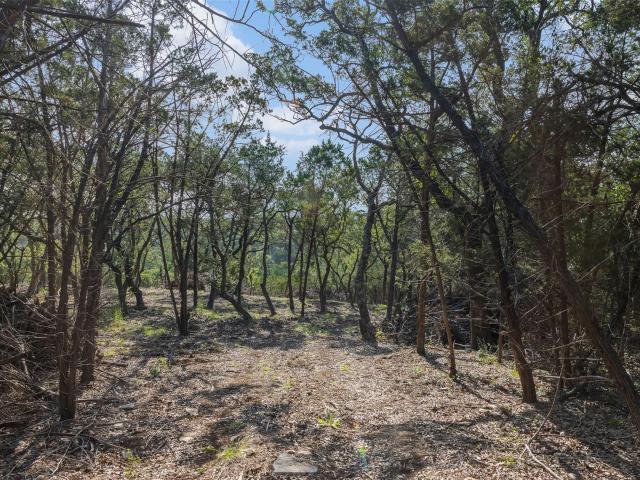 Farm for sale in Wimberley, Hays County