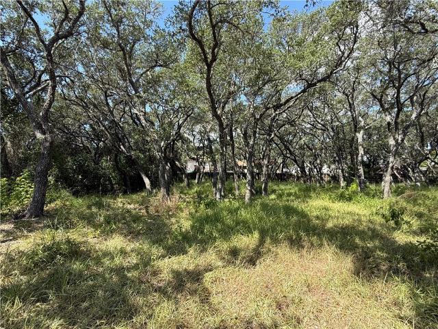 Land for sale in Fulton, Texas