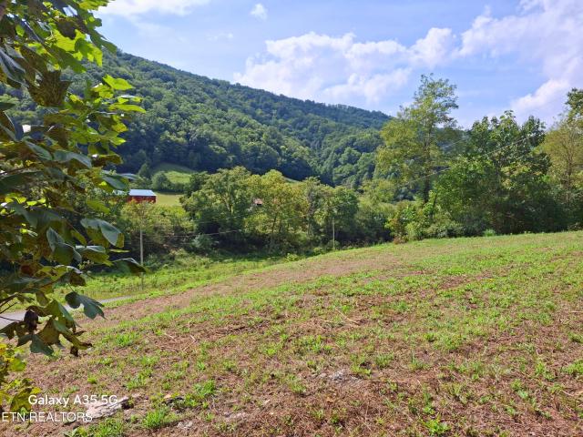 Land for sale in Vardy, Sneedville