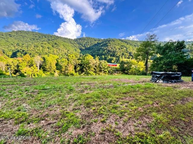 Land for sale in Sneedville, East Tennessee