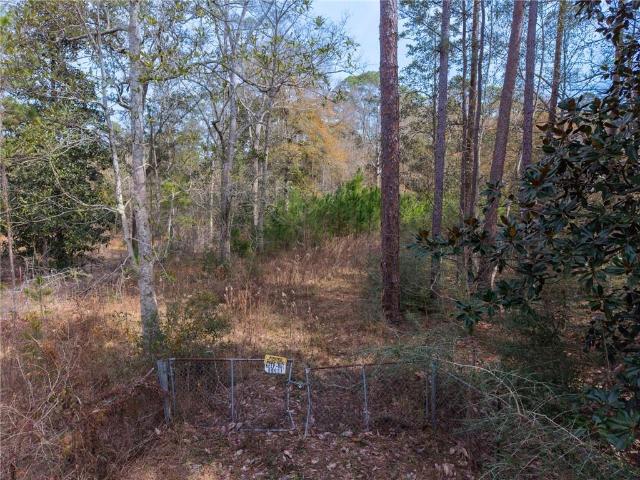 Land for sale in Lacombe, Louisiana