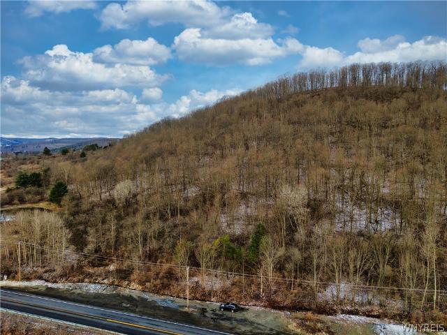 Land for sale in Ellicottville, New York
