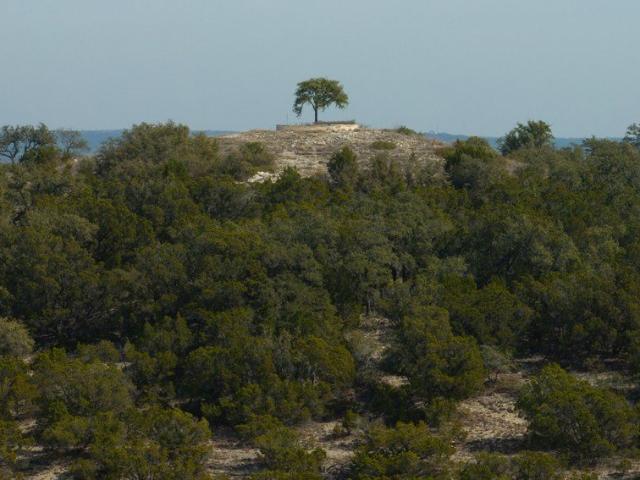 Property for sale in Fischer, Texas