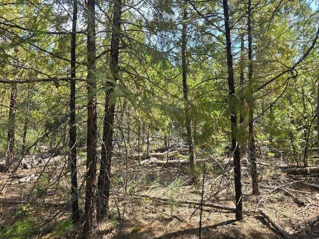 Land for sale in California