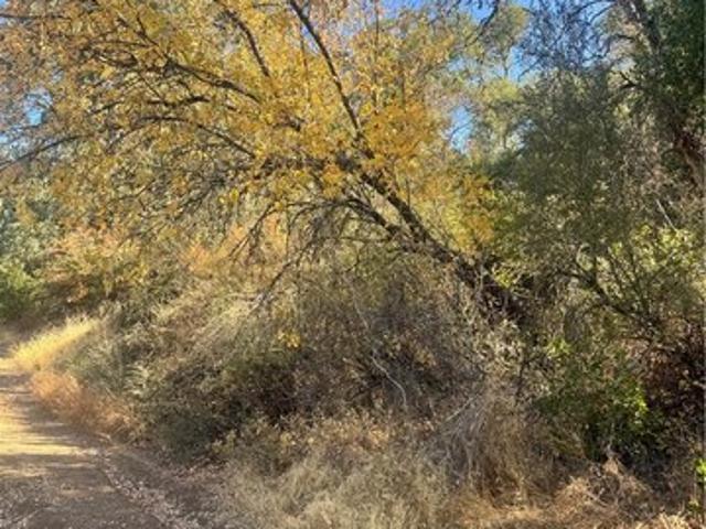 Land for sale in Lake, California