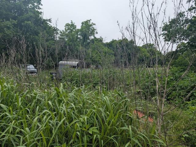 Land for sale in Blanket, Texas