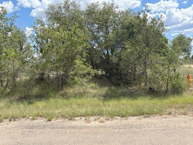 Land for sale in Mountainair, New Mexico