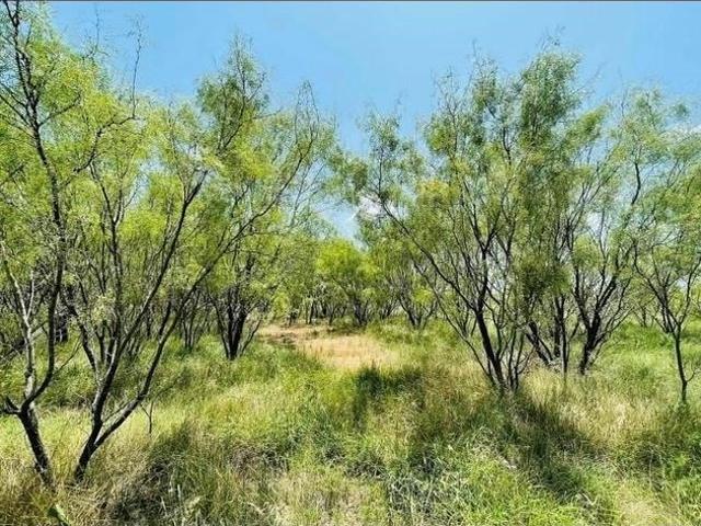 Land for sale in Woodson, Texas