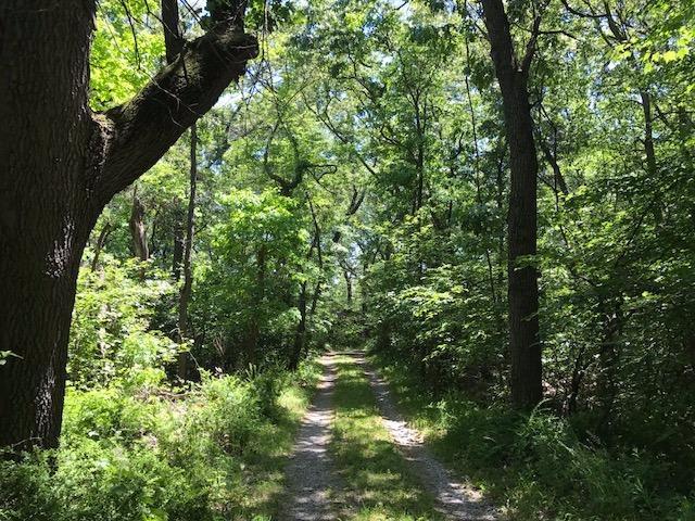 Land for sale in Porter, Indiana