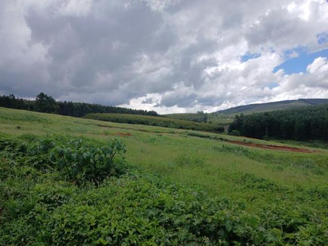 Land for sale in Umgungundlovu, Kwazulu-natal