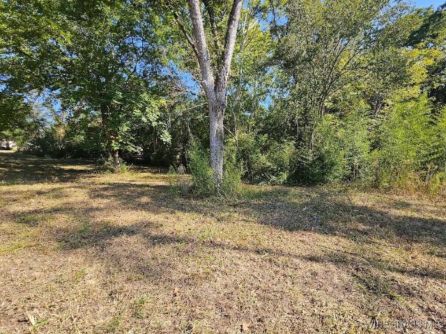 Land for sale in Dale, Alabama