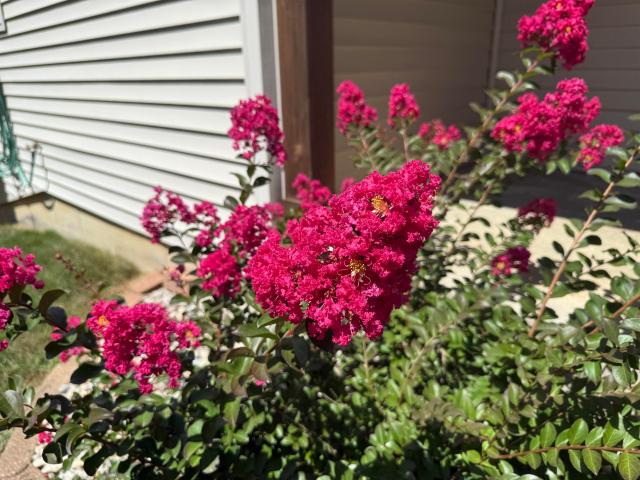 House for sale in Roanoke, Indiana