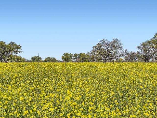 Property for sale in Martindale, Texas