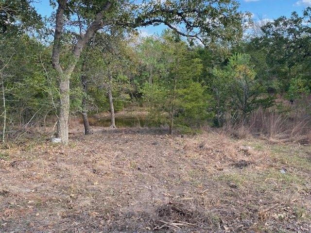 Land for sale in Somerville, Texas