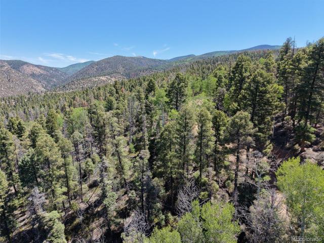 Land for sale in Fort Garland, Colorado