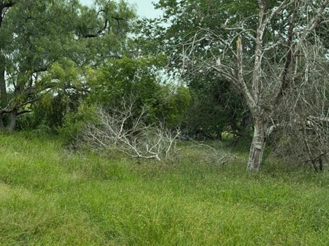 Land for sale in Wilson, Texas