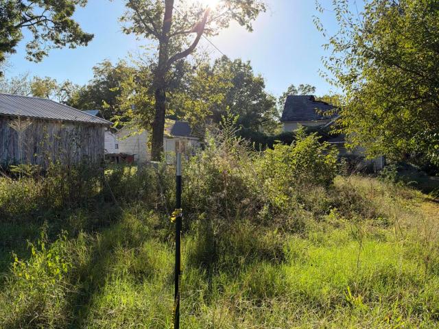 House for sale in Golden City, Barton County