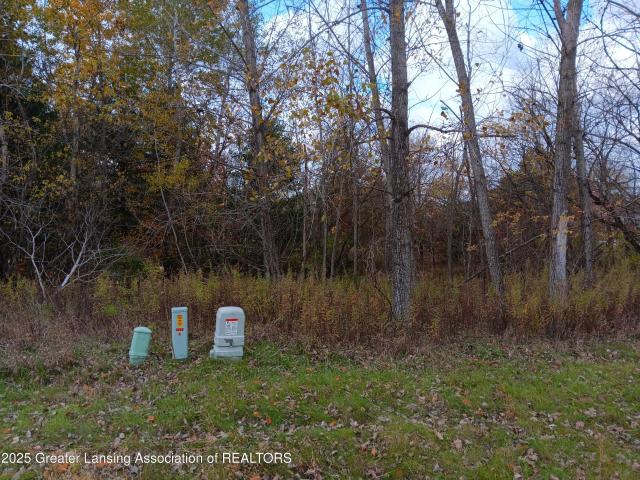 Land for sale in Perry, Michigan