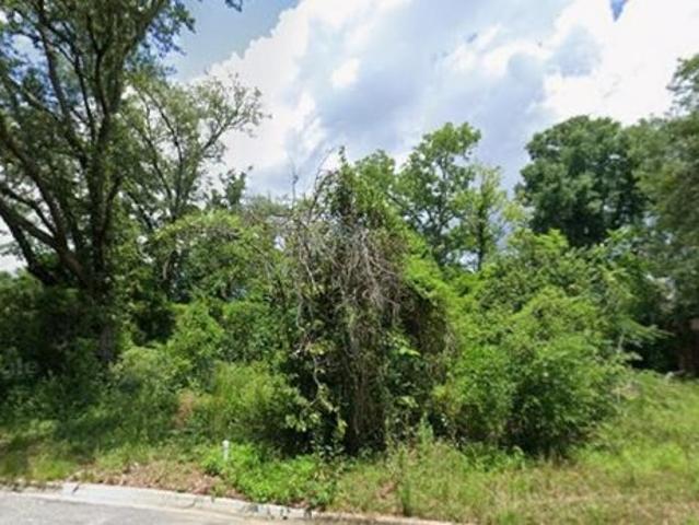Land for sale in Dougherty, Georgia