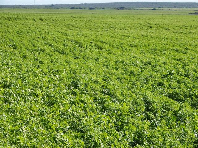 Commercial Land for sale in Western Cape