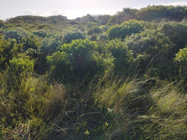 Land for sale in Western Cape