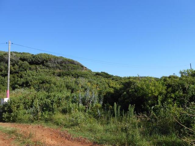 Land for sale in Cape St Francis, Eastern Cape