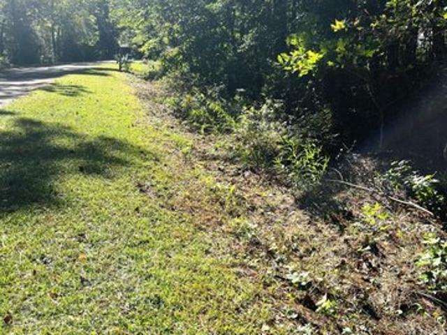 Land for sale in Oriental, Pamlico County