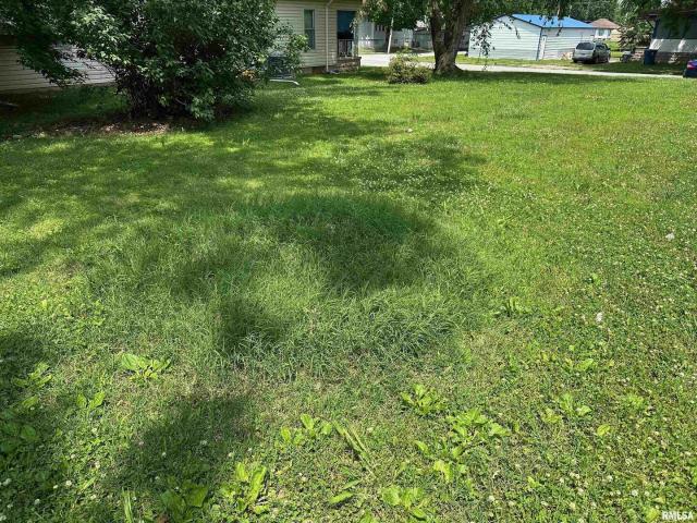 Land for sale in Christopher, Illinois