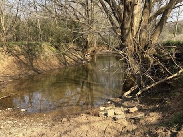 Land for sale in Somerset, Kentucky