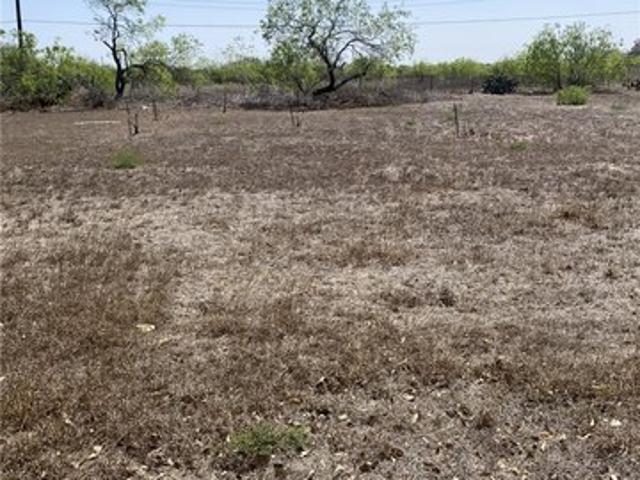 Land for sale in Premont, Texas