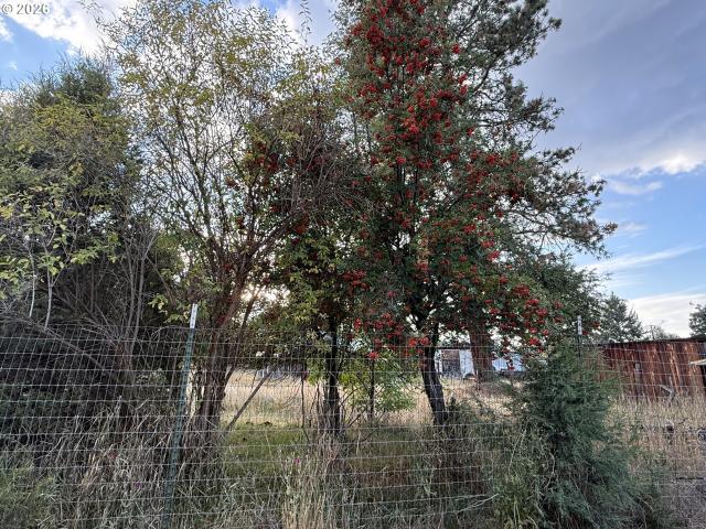 House for sale in Wallowa, Wallowa County
