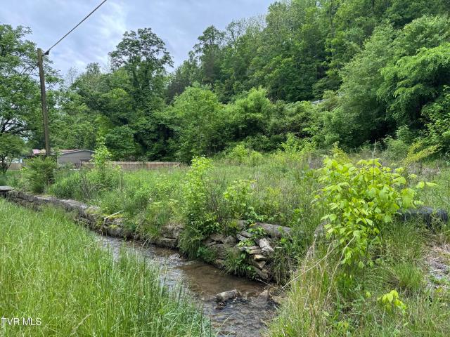 Land for sale in Virginia