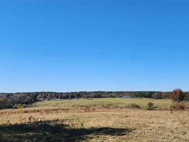 Land for sale in Linden, Texas