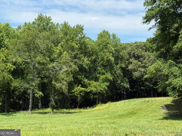 House for sale in Clarkesville, Georgia
