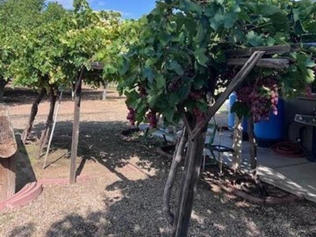 House for sale in Cochise, Arizona