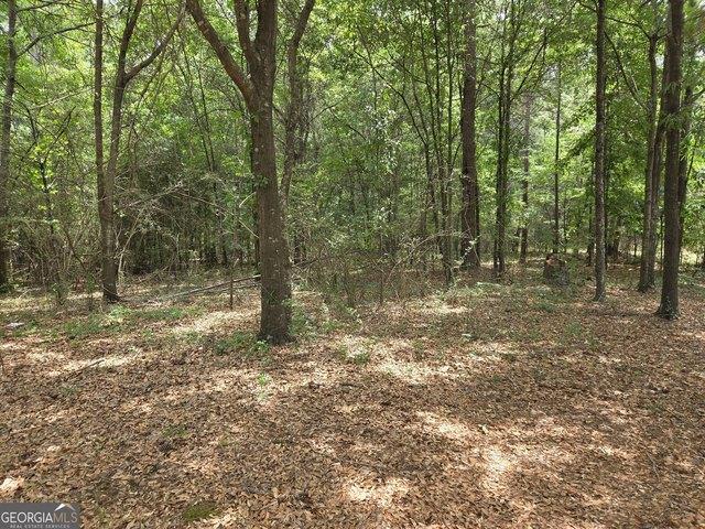 Land for sale in Macon, Georgia