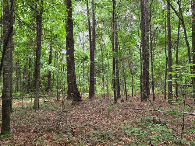 Land for sale in Macon, Georgia
