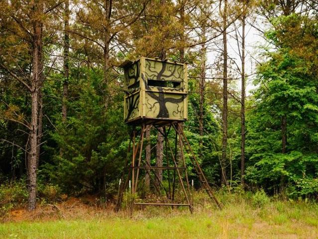 Land for sale in Shuqualak, Mississippi
